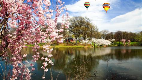 Cheap Flights from St. Louis to Newark Airport from $86 .